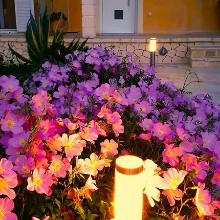 Iris Near Corfu Town アパート *